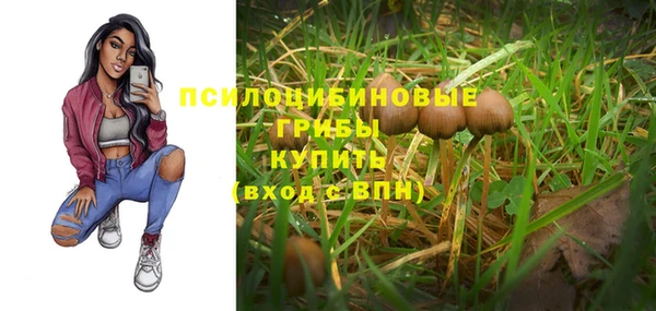 шишки Майский