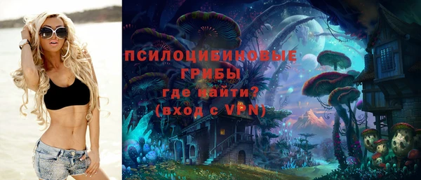 шишки Майский