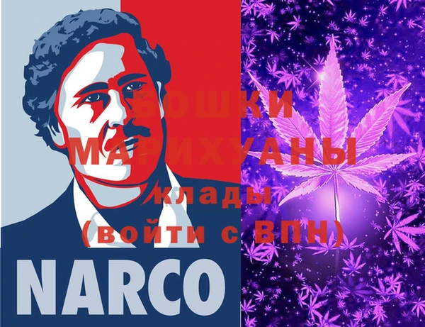 шишки Майский