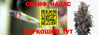 амф Аргун