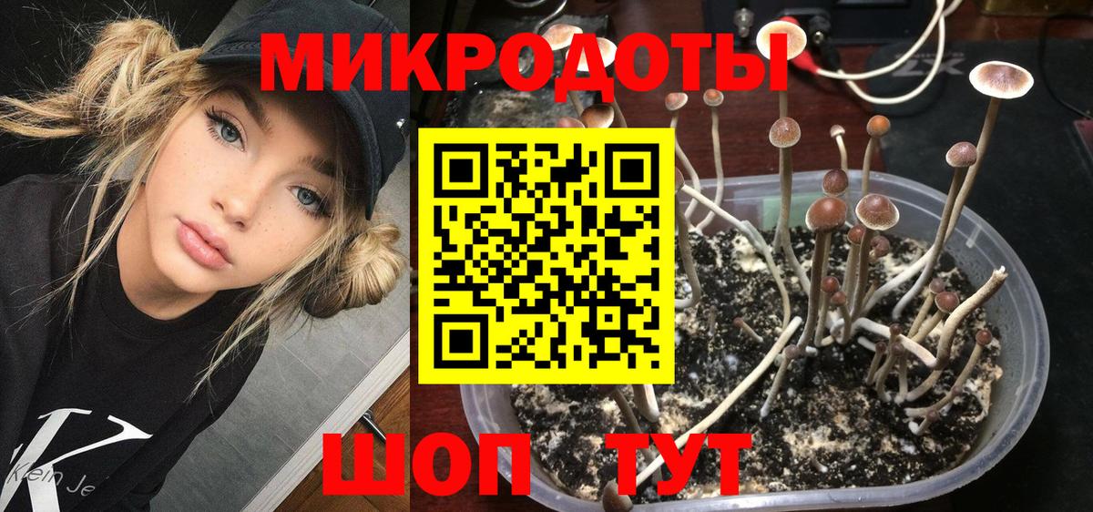 Псилоцибиновые грибы мицелий  Вход с VPN  Среднеуральск 