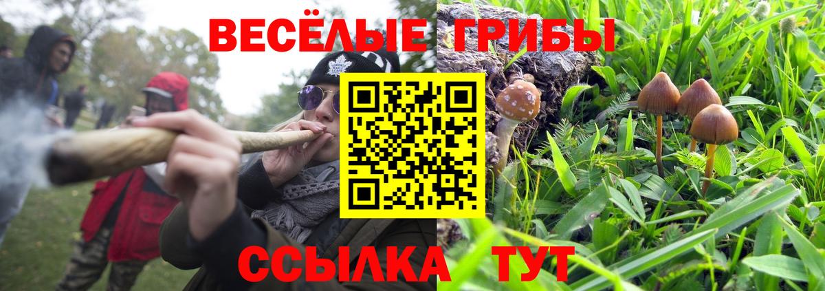 Среднеуральск  магазин    Вход с VPN  Галлюциногенные грибы ЛСД  Галлюциногенные грибы Magic Shrooms 