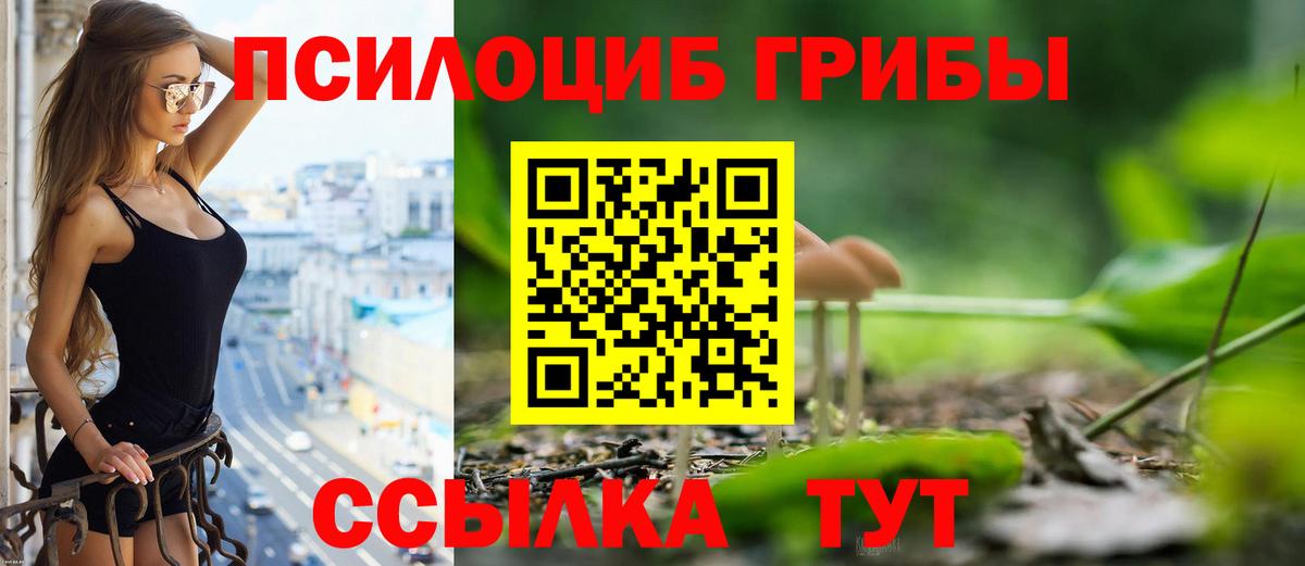 Псилоцибиновые грибы прущие грибы Среднеуральск